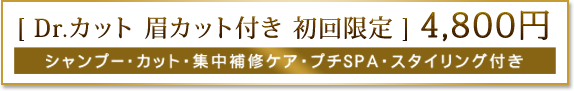 [ Dr.カット 眉カット付き 初回限定 ] 4,800円 シャンプー・カット・集中補修ケア・プチSPA・スタイリング付