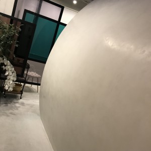 IMG_5353
