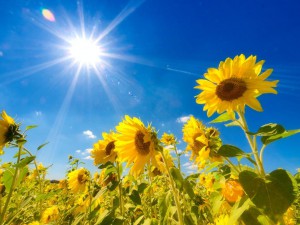 【ヘッドスパ】夏の頭皮と皮脂